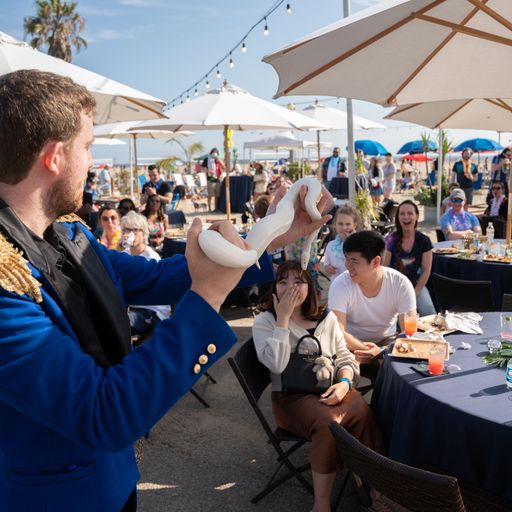 Right after the doves magically transforms into a snake performed by the top magician in Long Beach for holiday parties and events.
